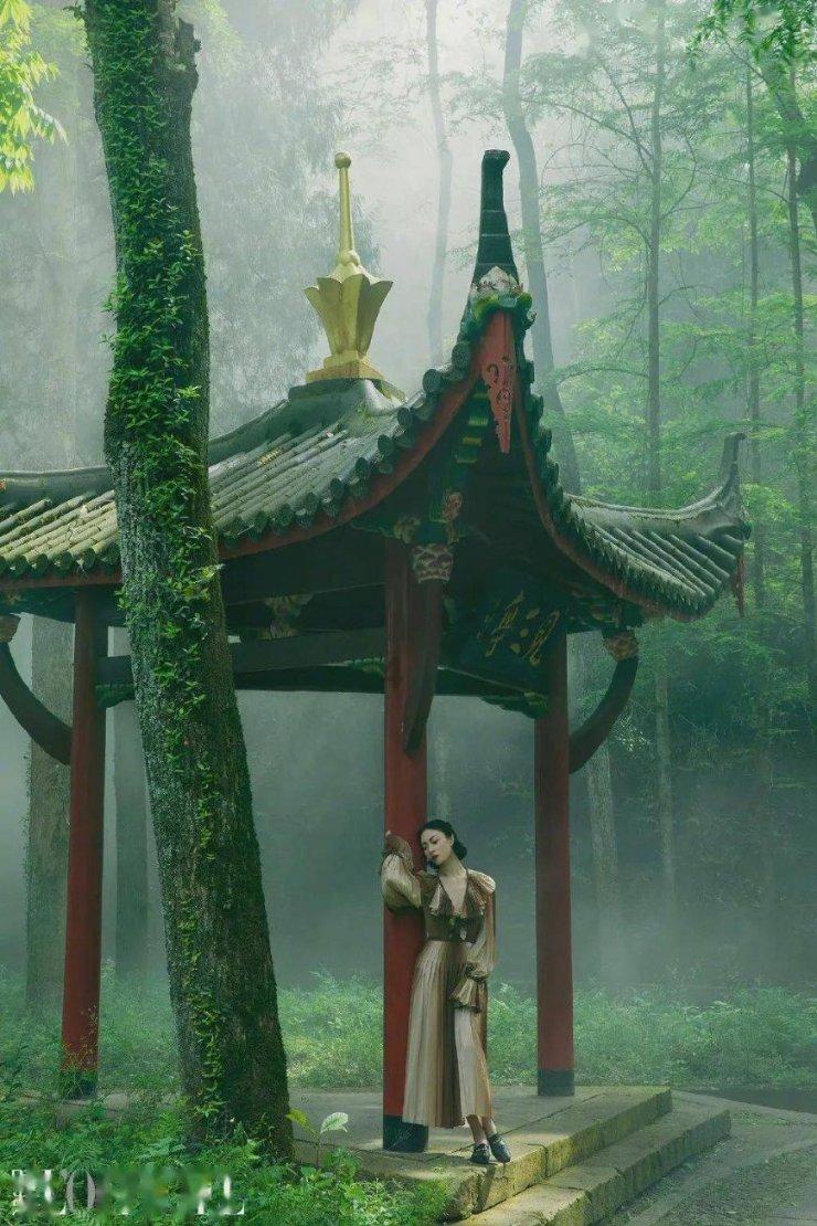 月光影视